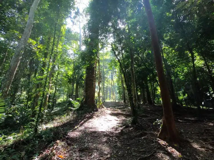 Hotels in der Nähe von Khao Mai Khew Cave