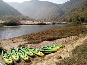 Forestis outdoor activities