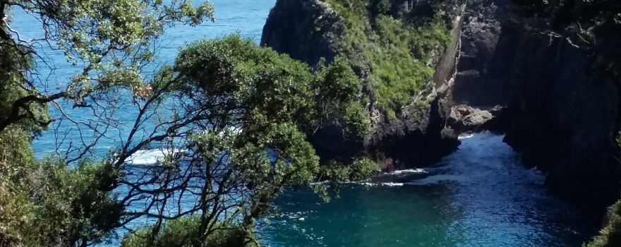 Cave Pindal