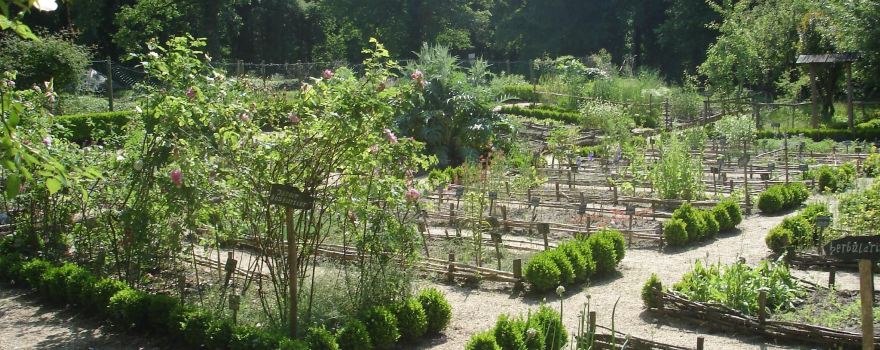 Chevalerie de Sacé - Site Archéologique & Jardin Botanique