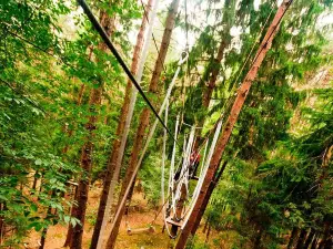 Adventure in Pineta Park
