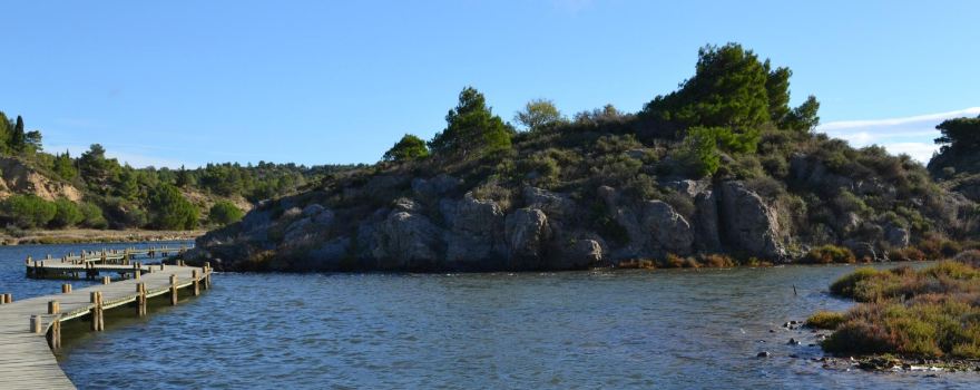 Etang Du Doul Et De La Saline