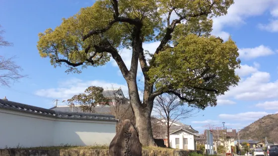 御著城跡