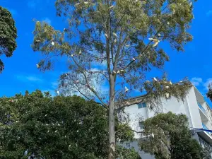 Lake Eden