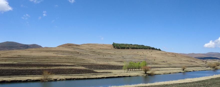 Motloang