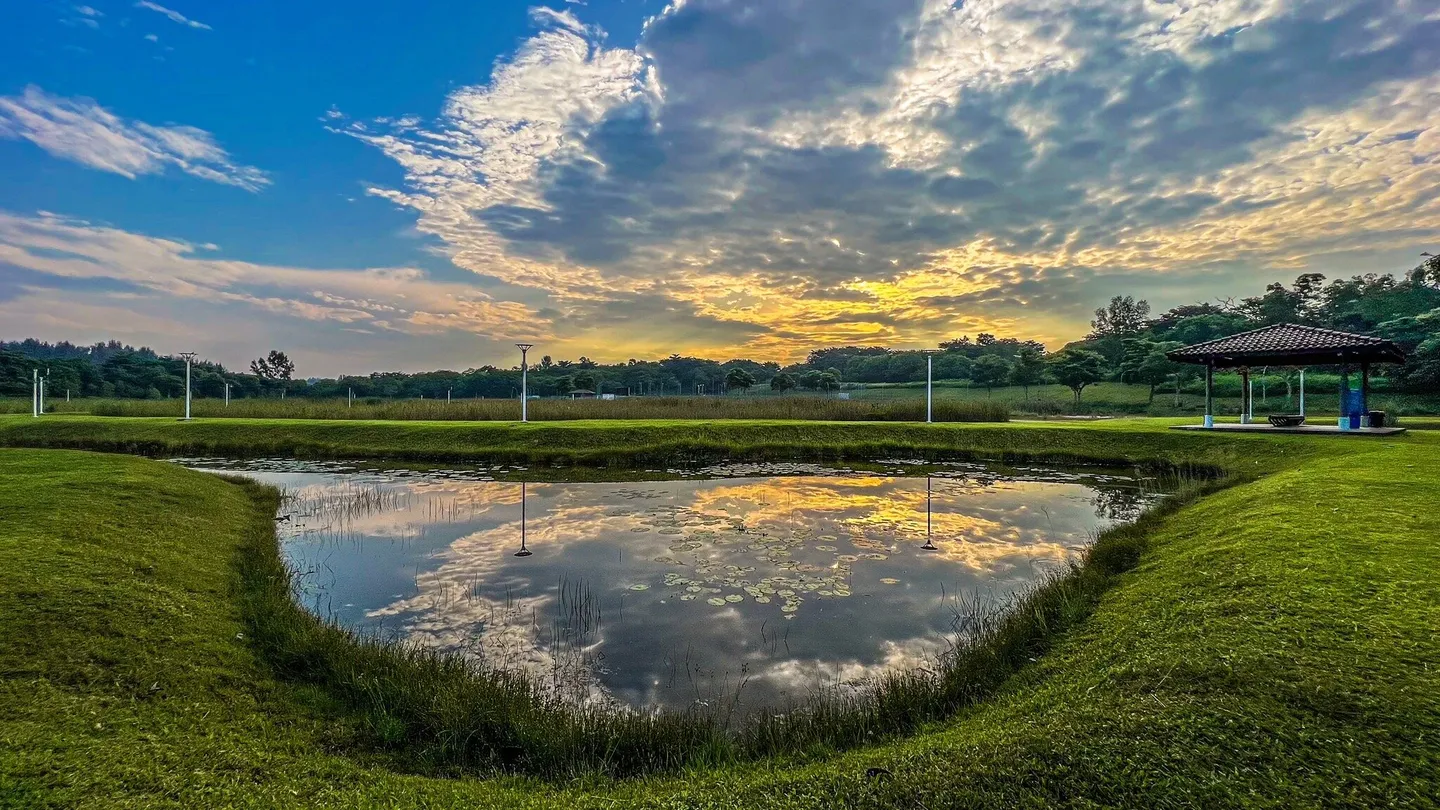 1_Lorong Halus Wetland