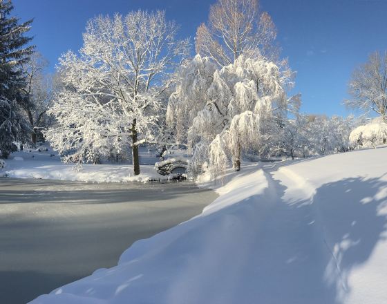 紐頓 自由行套票