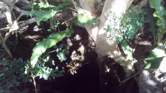 Cenote Kampepen