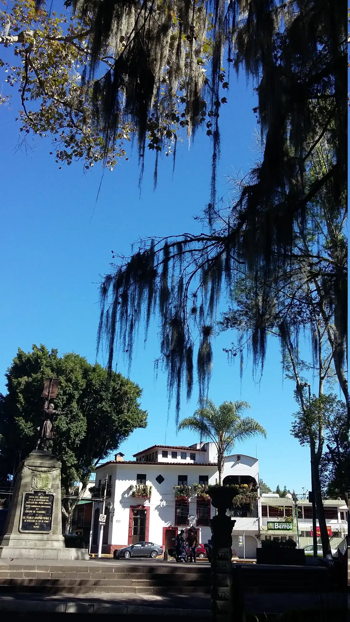 Hotels near Los Berros