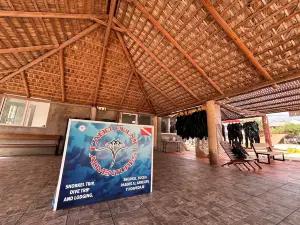 Cabo Pulmo Adventures