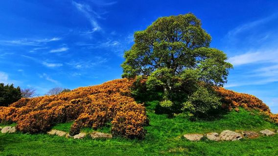 Dowth Passage Tomb