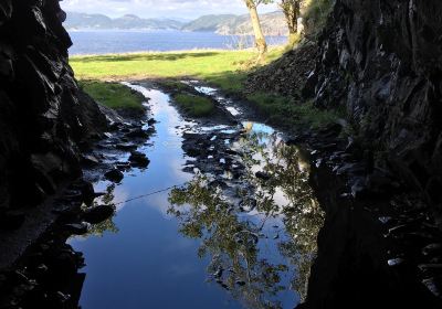 Varnes