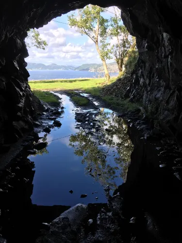 Varnes