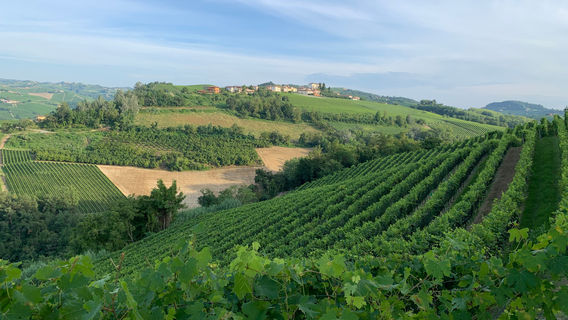 Vietti s.r.l.