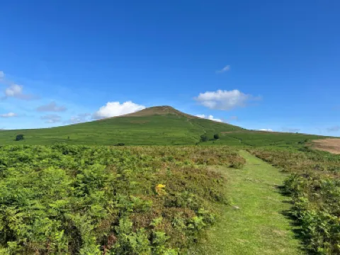 蘭佛伊斯特法爾