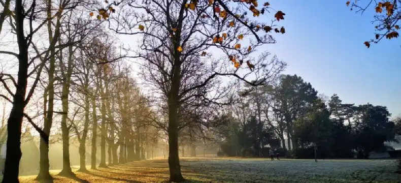 โรงแรมในGrimsby