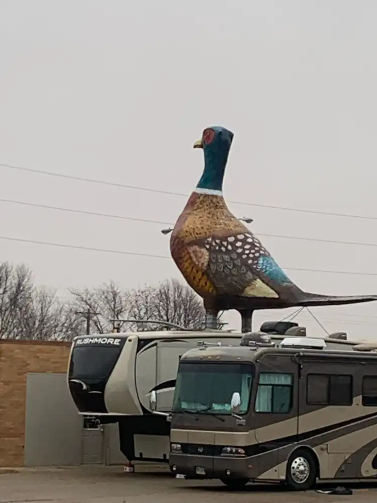 Hotels in Beadle County