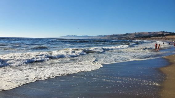 Salmon Creek State Beach