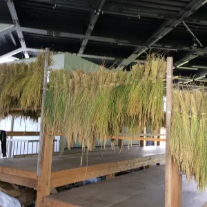 大地の芸術祭の里・総合案内所