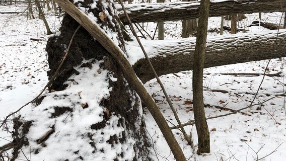 The Waterloo GeoTime Trail