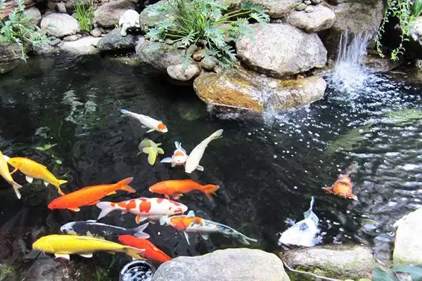 Hotels near Linh Dam Lake
