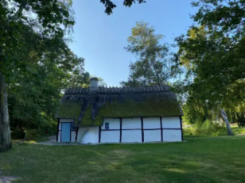 Stevns Klint Experience