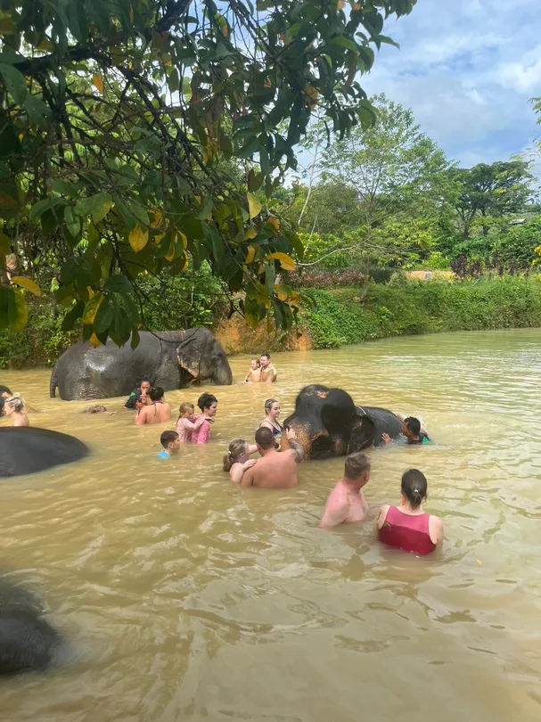 5_Phuket Kathu Elephant Sanctuary