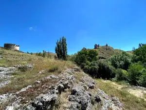 Ruta Del Duraton