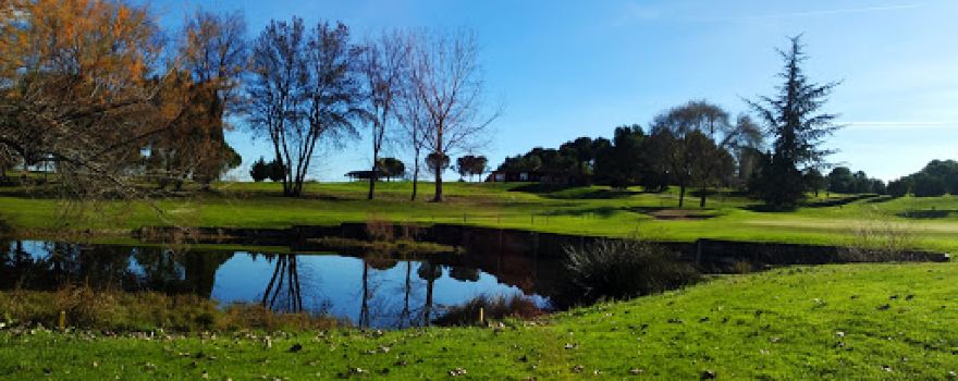 Steve Scott Golf Academy & Proshop