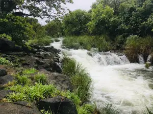 Popular Falls