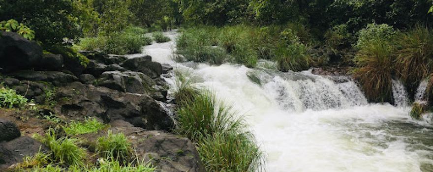 Popular Falls