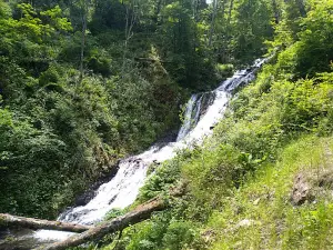 Ripivoda