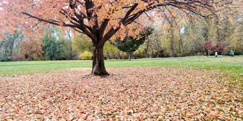 Bear Creek Park
