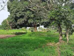 Chhatrapati Shivaji Maharaj Park
