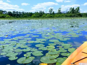 Dumont Lake County Park