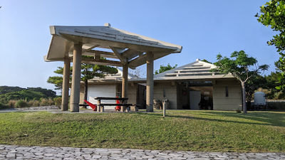 Goeda Pine of Kume