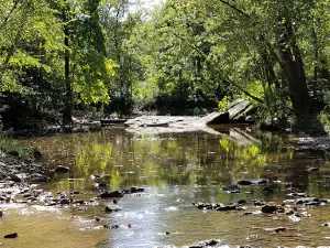 Weinberg-King State Fish and Wildlife Area