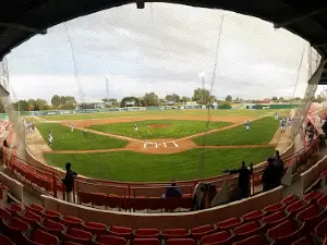 Estadio de Beisbol Andrés Mena Montijo