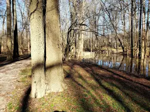 Tory Hole Park