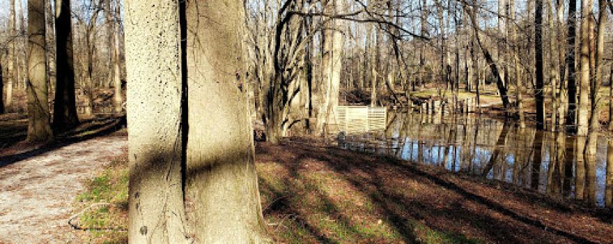 Tory Hole Park