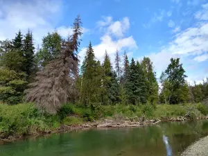 Riverside RV & Camper Park