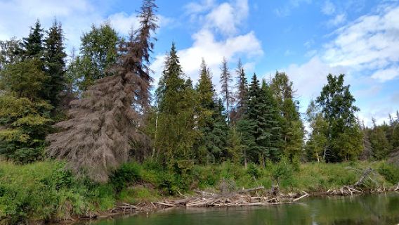 Riverside RV & Camper Park
