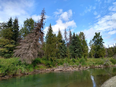 Riverside RV & Camper Park