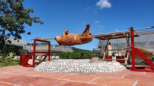 Chao Dalat ( Trang trại dâu tây hàn quốc, 웰컴투 달랏 딸기 농장, 달랏한국농장, 아티소 커피 노니)