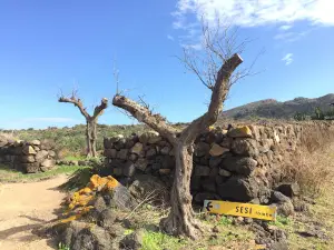Parco Archeologico dei Sesi - Sese del Re o Sese Grande