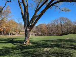 Waterfalls Trailhead