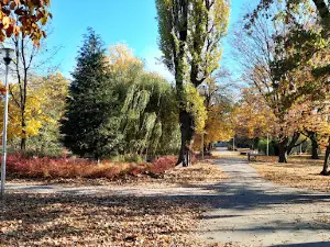 Park Miejski