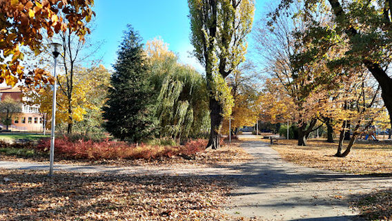 Park Miejski