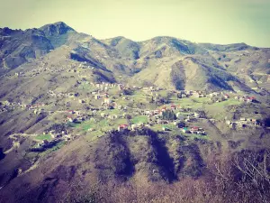 Soğukpınar Belde Belediyesi