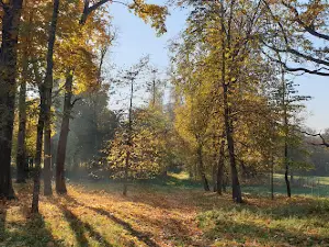 Усадьба Слотвинских